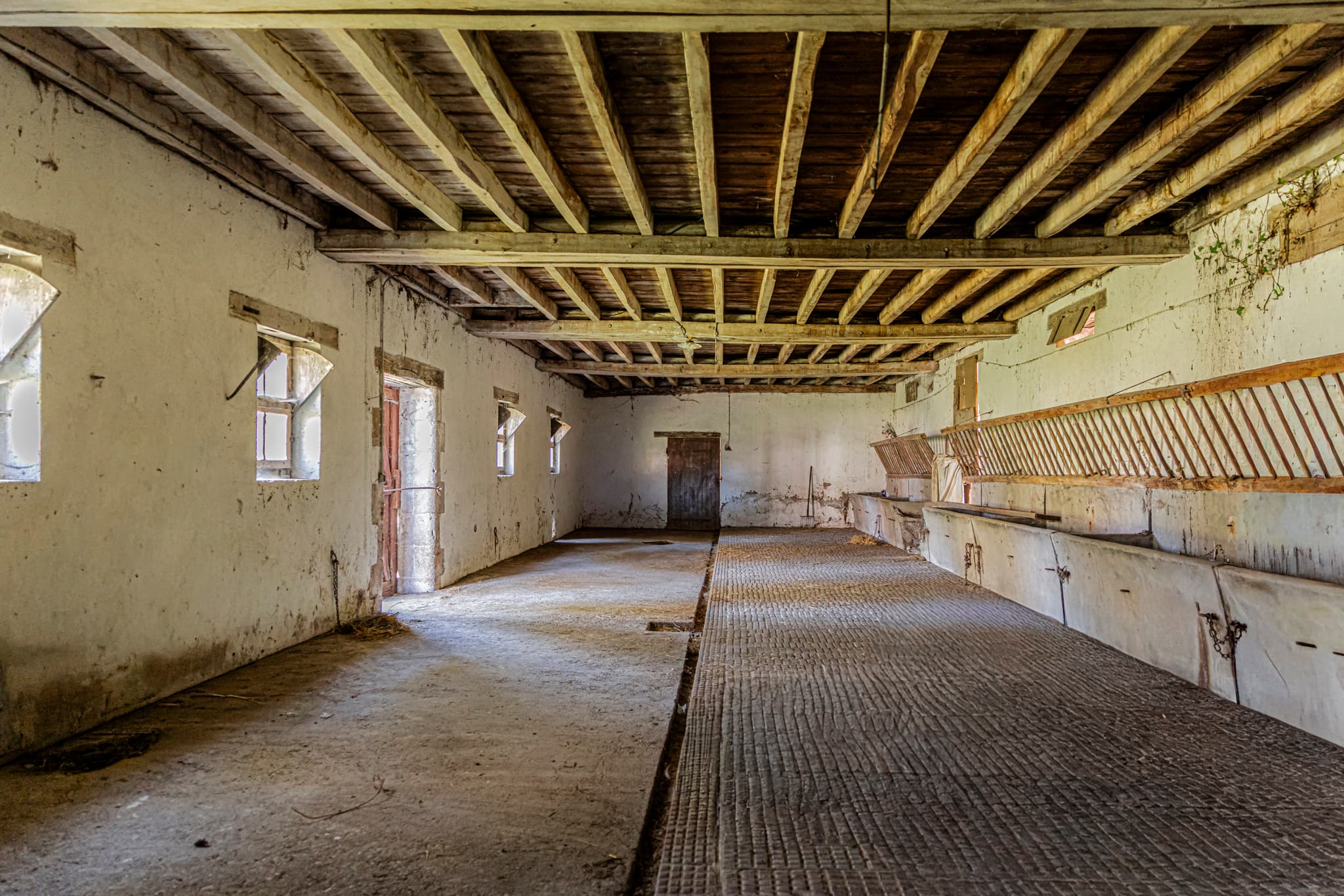 Propriété 24 hectares, étang, bâtiment 1000m2 dont 490m2 hab - Photo 9