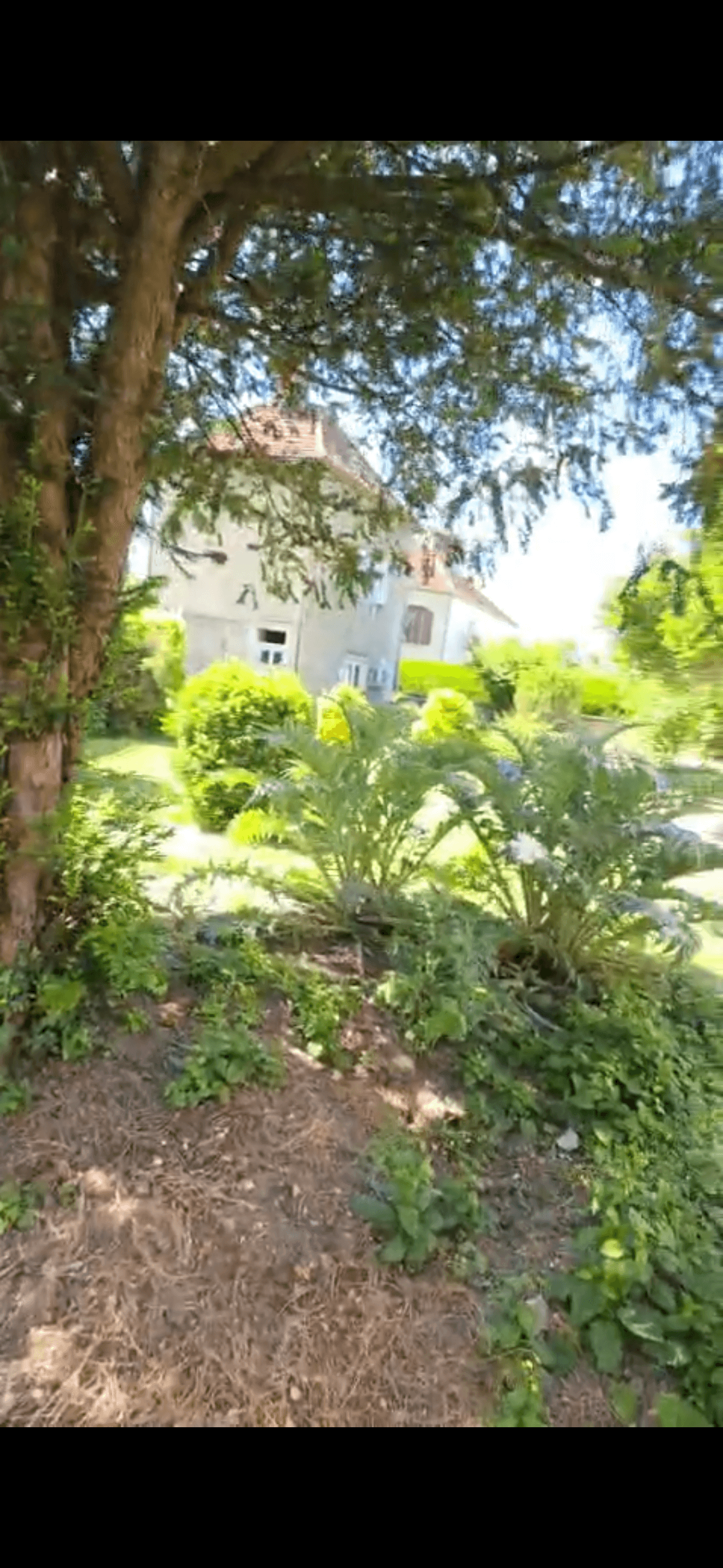 2 maisons sur plus de 1000m2 de terrain - Photo 4