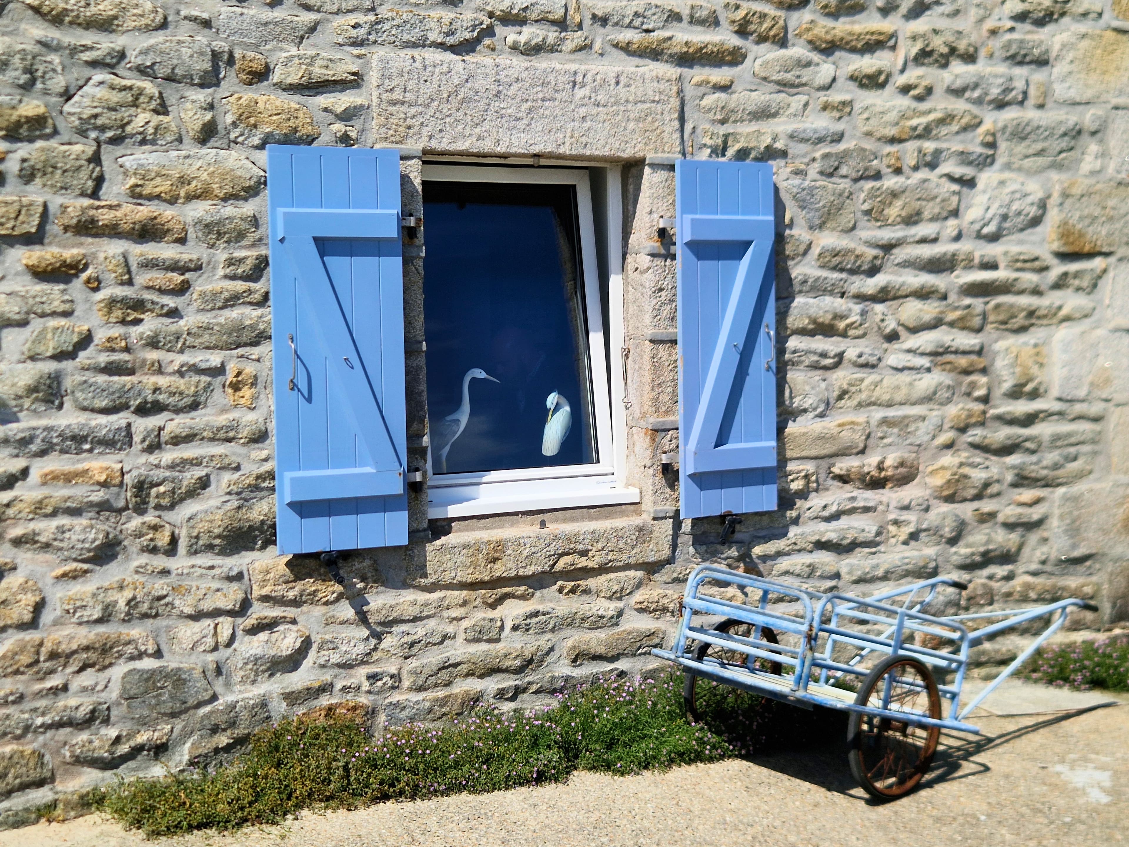 Maison vue mer Île-de-Sein - Photo 10