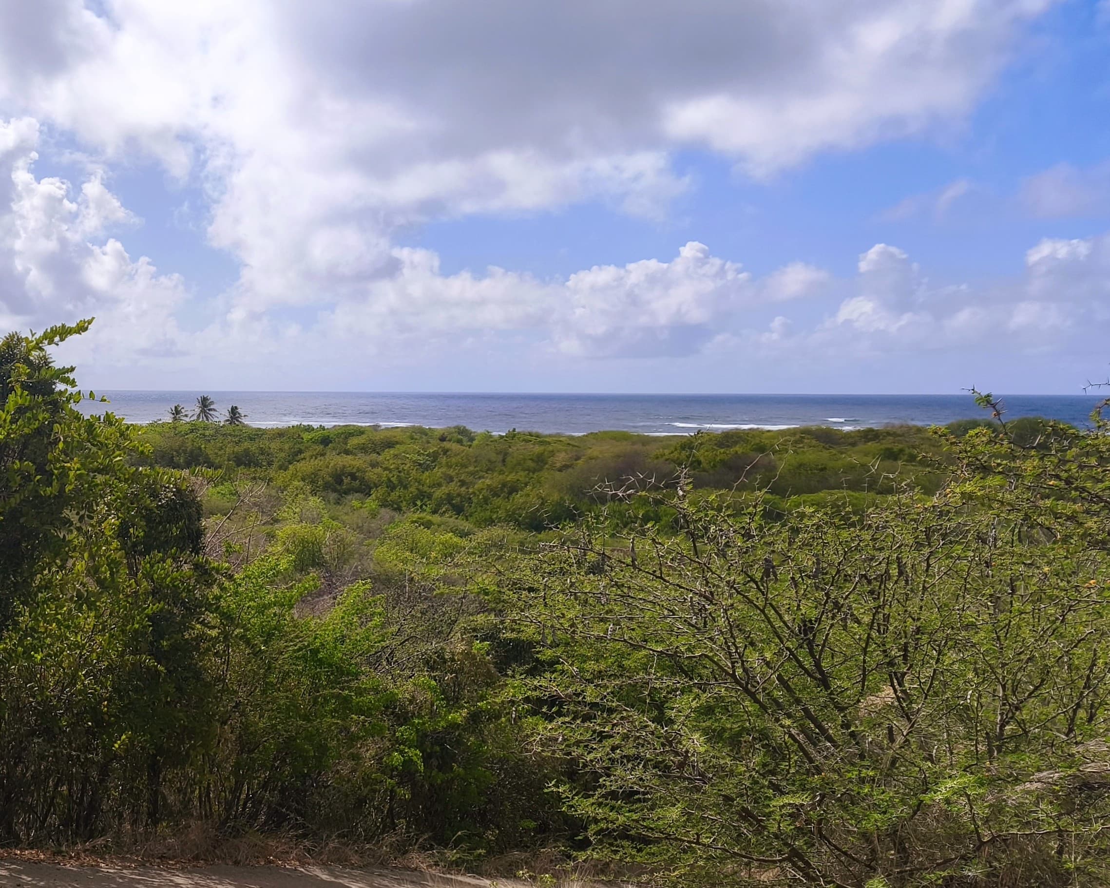 CAP CHEVALIER - SAINTE-ANNE | TERRAIN CONSTRUCTIBLE VUE MER - Photo 4