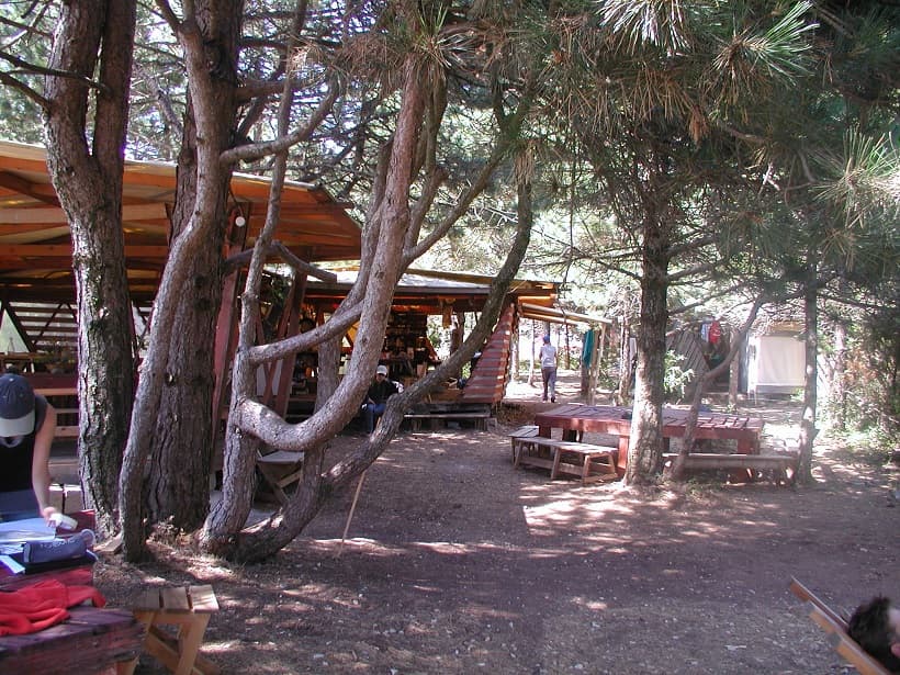 Atelier en pleine nature - Photo 9
