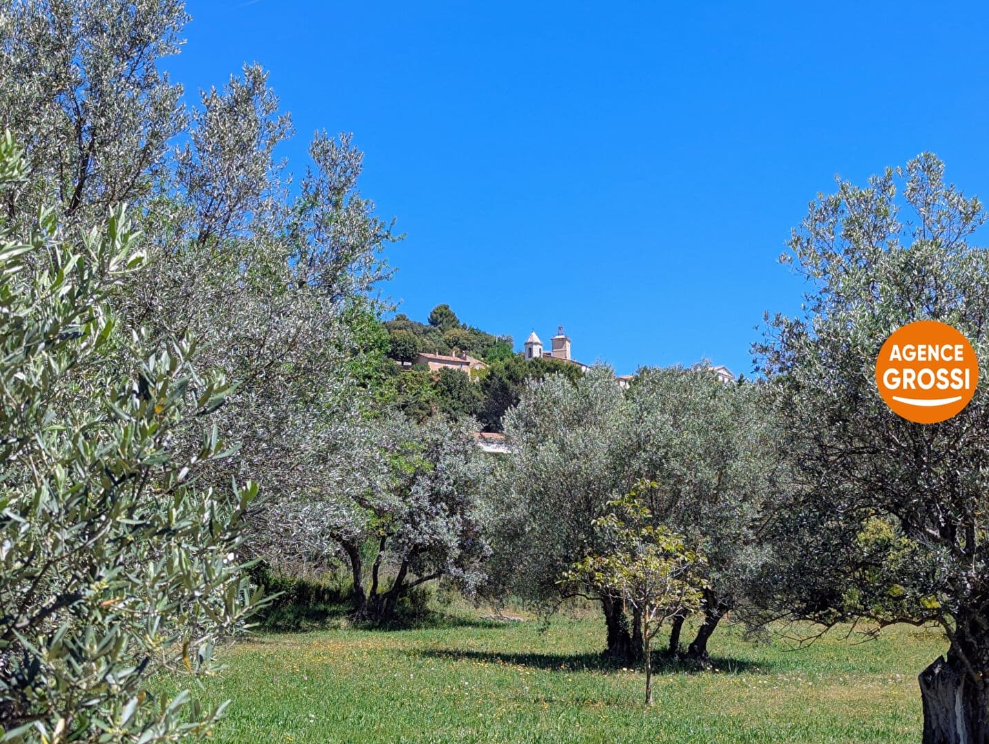 Haut-Var Verdon superbe mas rénové sur 9530 m2 de terrain. - Photo 10
